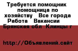 Требуется помощник, помощница по хозяйству - Все города Работа » Вакансии   . Брянская обл.,Клинцы г.